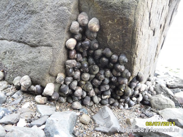 Приморский край