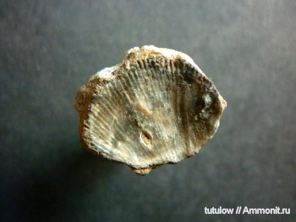 Всеволожск