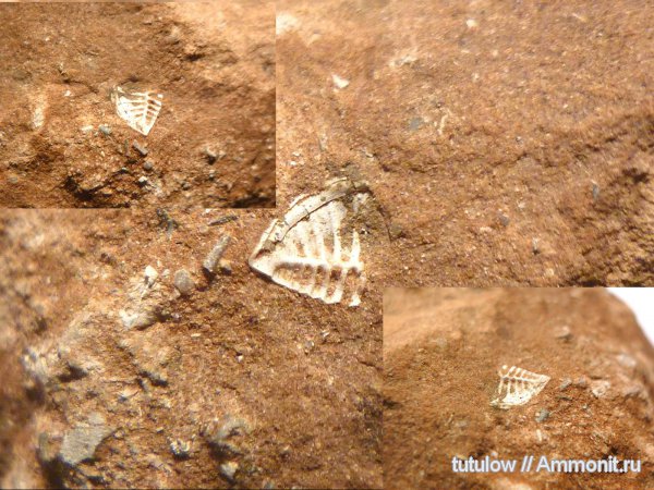 "Волшебный" гравий:)