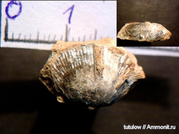 Ленинградская область, Всеволожск