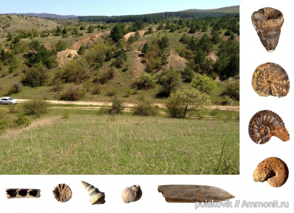 берриас, Крым, Berriasian