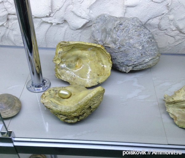 музеи, Крым, Балаклава