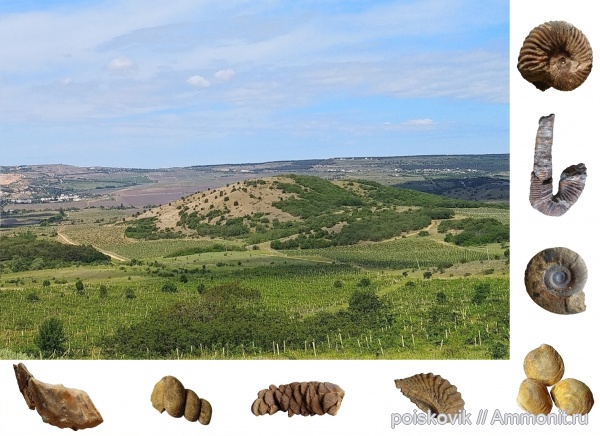 альб, Крым, Балаклава, эрратические валуны