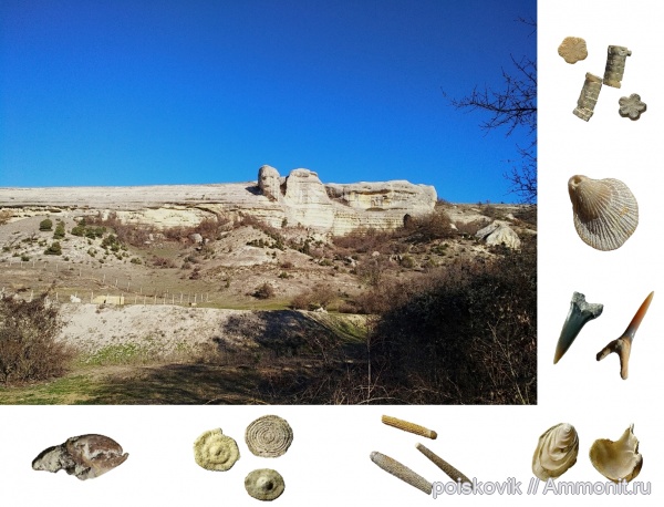 палеоген, Крым