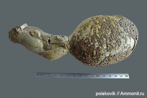 Крым, Балаклава