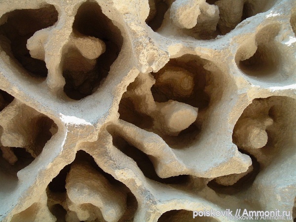 Крым, Балаклава