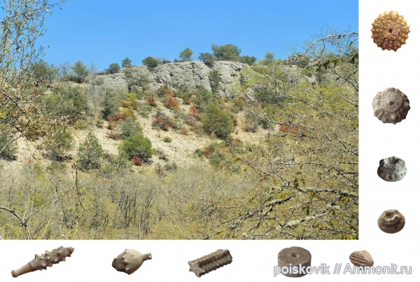 берриас, Крым, Балаклава