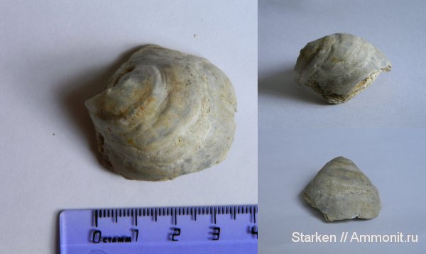 Щёлковский карьер