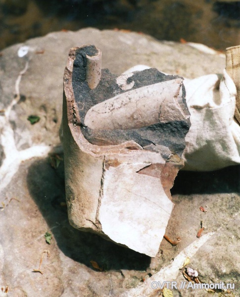 апт, проблематики, Северный Кавказ, Aptian