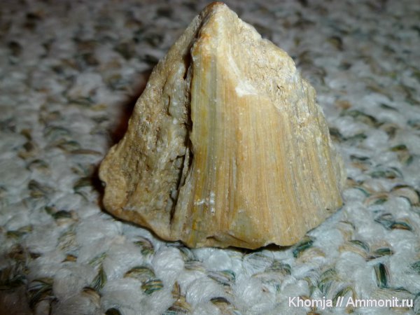 Находки моего ребенка