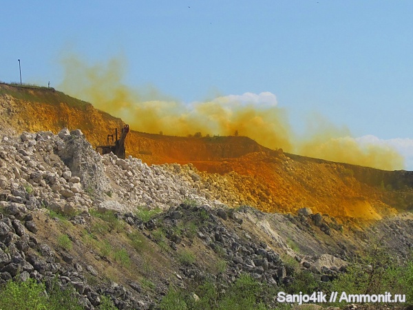 морские ежи, неоген, раки, крабы