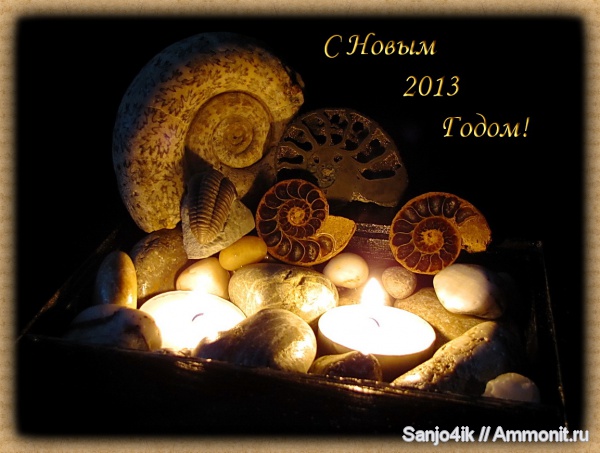 аммониты, мел, Ammonites, Cretaceous