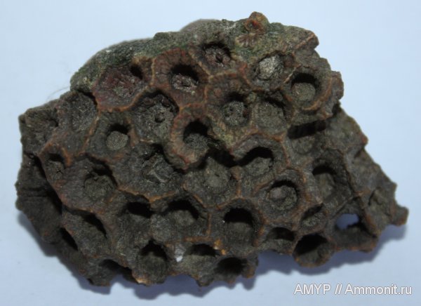 Тверская область