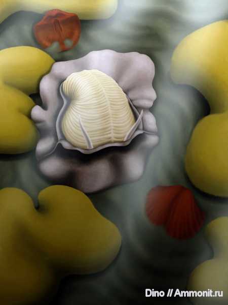 Bellerophon, палеоарт