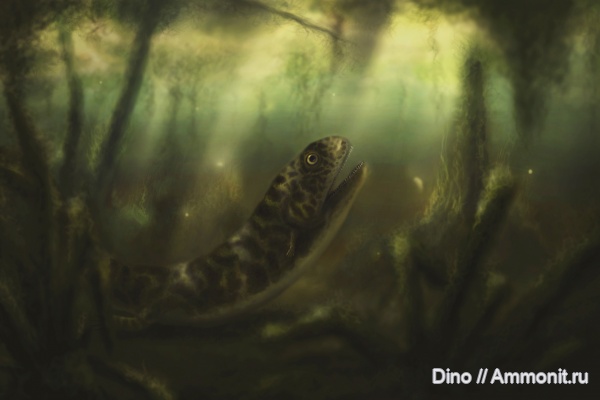 карбон, палеоарт, Crassigyrinus