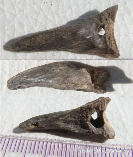 США, плейстоцен, голоцен