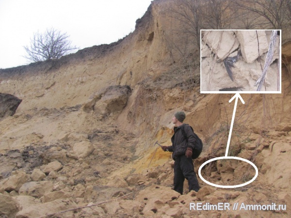 места находок, Кременчугское водохранилище