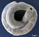 черви ископаемые Самарской области