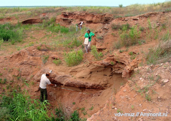 триас, Самарская область, лабиринтодонты, Борский район, Triassic