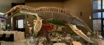 Плиозавр (макет) фото 3