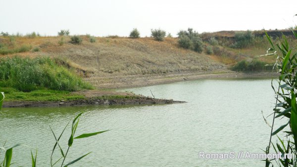Дубки, Саратовская область, места находок
