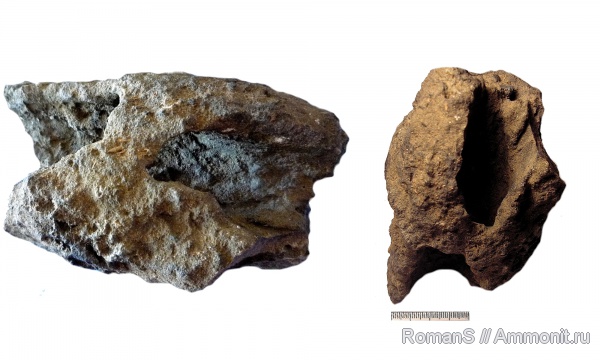 мел, ихнофоссилии, Cretaceous