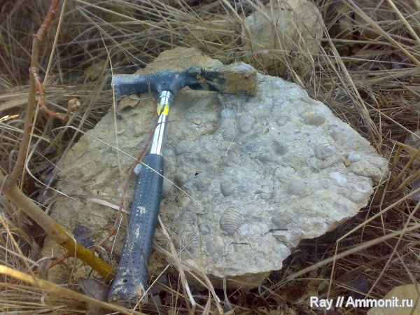 Россия, Калужская область, Садовый карьер