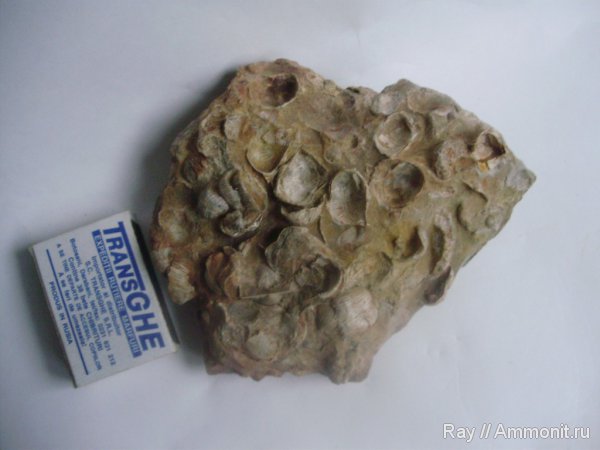 Россия, Калужская область, Садовый карьер