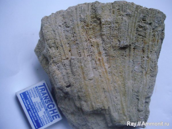 Россия, Калужская область, Шаньский карьер