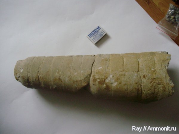 Россия, Калужская область, Садовый карьер