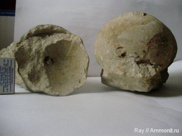 Россия, Калужская область, Садовый карьер