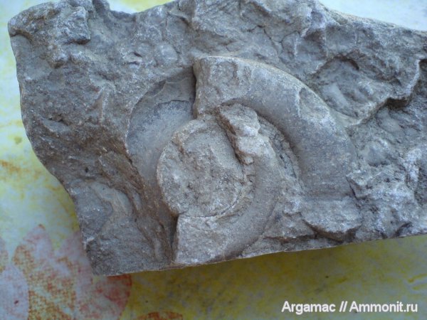 Ростовская область