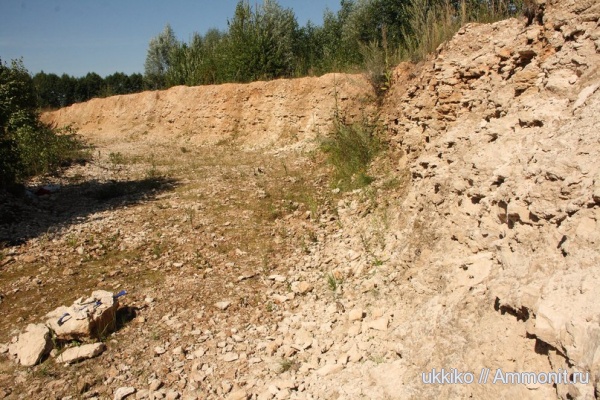 пермь, Нижегородская область, Permian