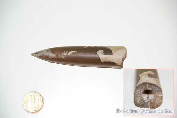 Овраги около реки Унжа - 2011