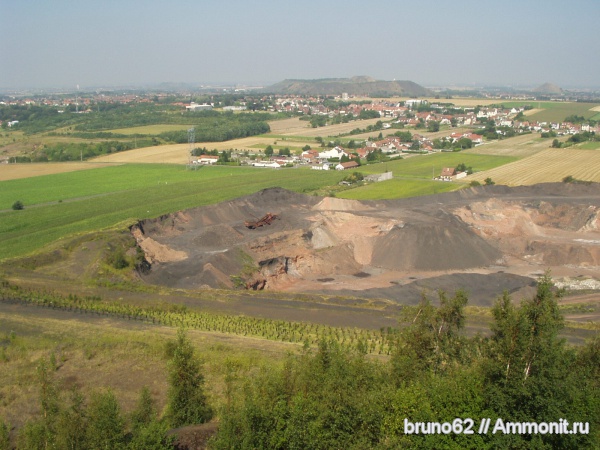Carboniferous, Bolsovian, France, plants from Liévin aera