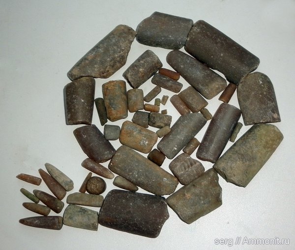 окаменелости, белемниты, Fossils, р. Пьяна, belemnites