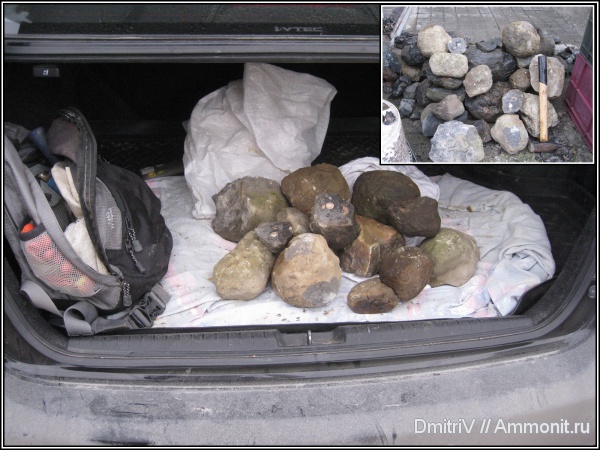 конкреции, р. Дефань