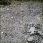 Загадочные образования