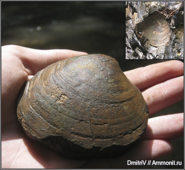 Фото с мест "событий"