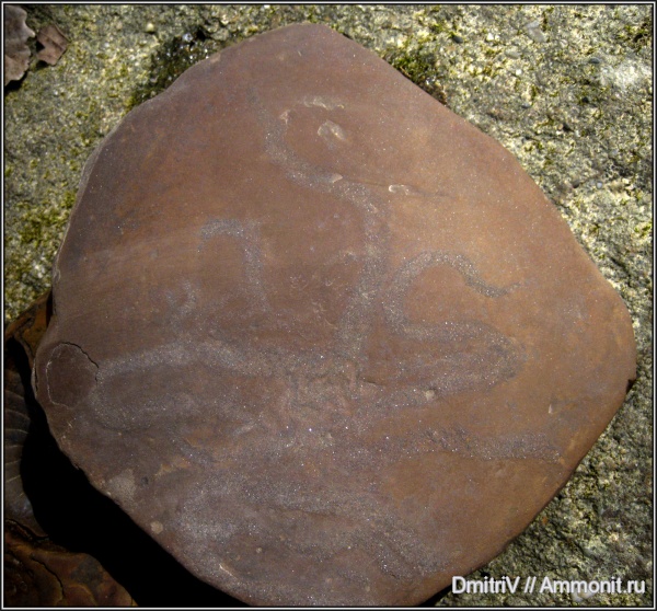 мел, ?, Cretaceous