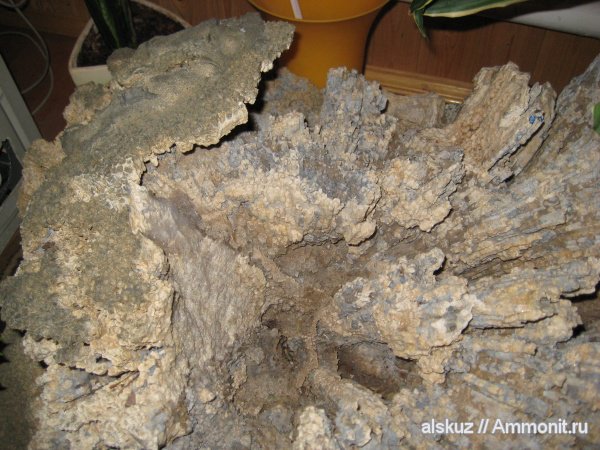 коралл 1 в деталях