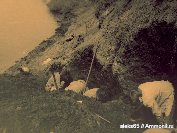 Бронницы, Марково