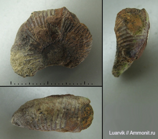 юра, Крым, Судак, Jurassic