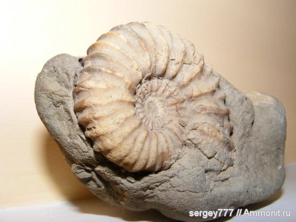 юрский период, Украина, Закарпатье, Jurassic