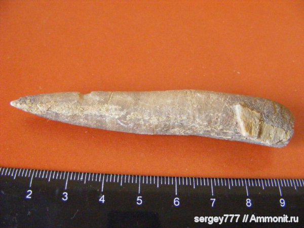 юра, Закарпатье, Jurassic