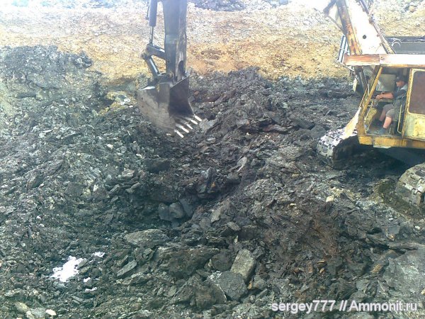 растения, Ильницкий карьер