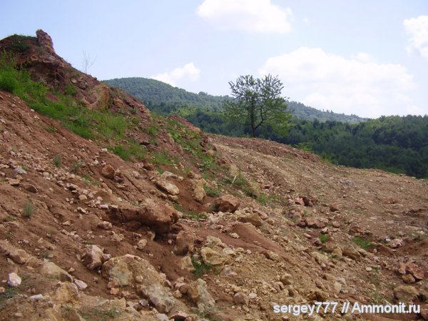 Украина, Закарпатская область, Кричево