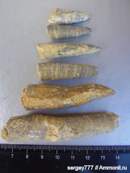 Украина, Закарпатская область, Кричевский карьер