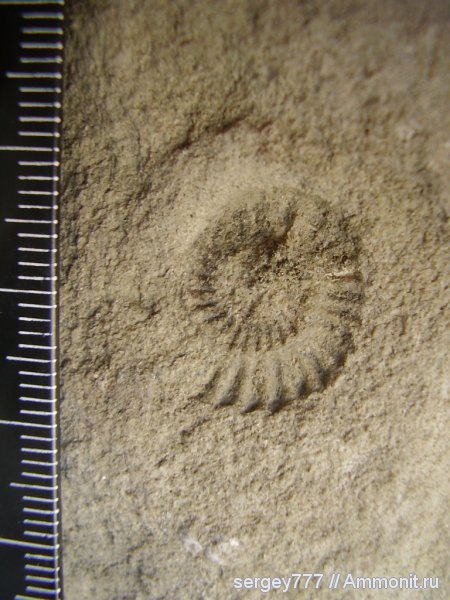 Украина, Закарпатье, Приборжавский карьер