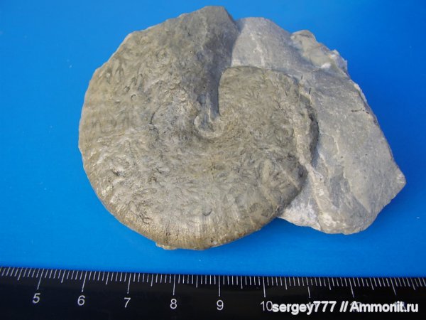 Украина, Закарпатье, Приборжавский карьер